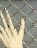 Barrier