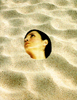 Buried