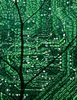Ecosystem