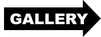 Enter the Gallery