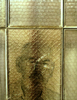 Occupant