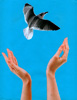 Release