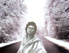 Sleepwalk